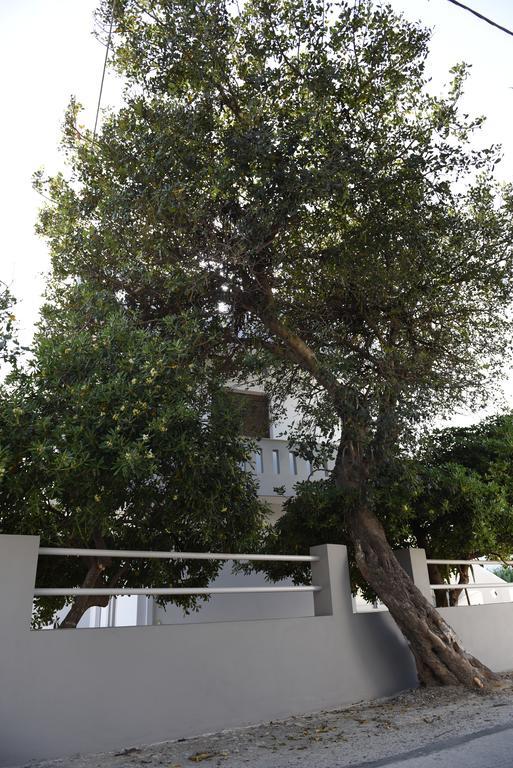 Dimitris' & Valentina'S Home Plakias Luaran gambar