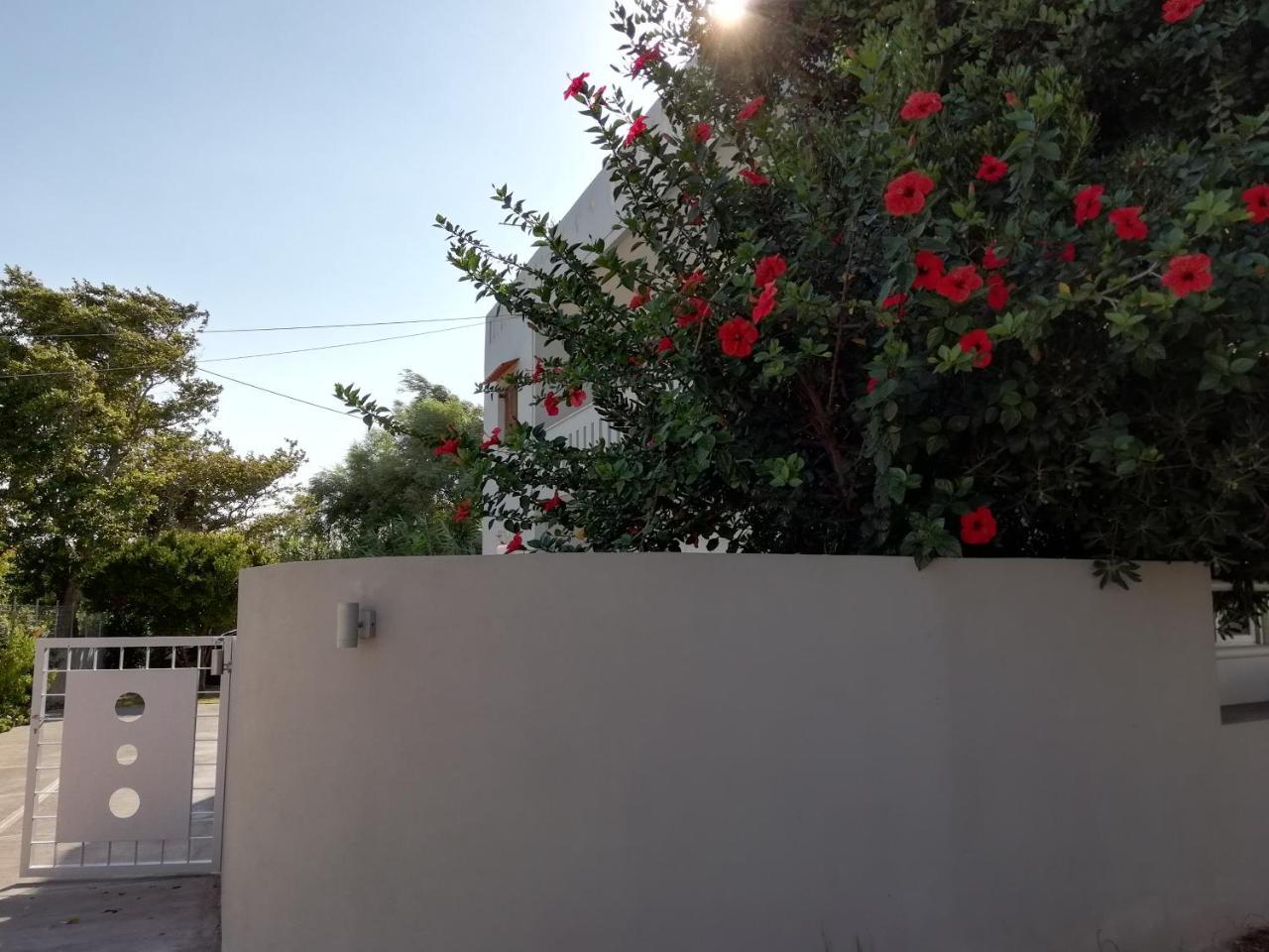 Dimitris' & Valentina'S Home Plakias Luaran gambar